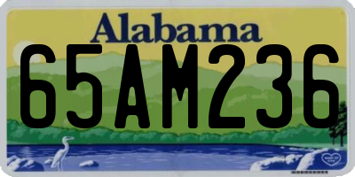 AL license plate 65AM236