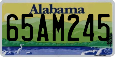 AL license plate 65AM245