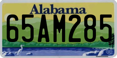 AL license plate 65AM285