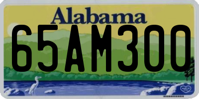 AL license plate 65AM300