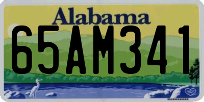 AL license plate 65AM341