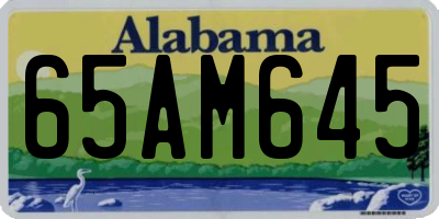 AL license plate 65AM645