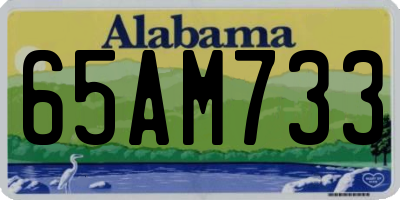 AL license plate 65AM733