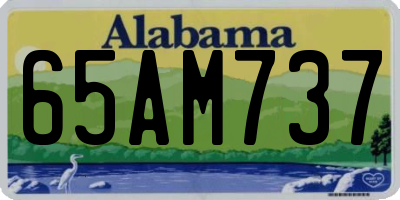 AL license plate 65AM737