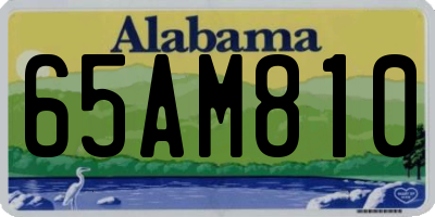 AL license plate 65AM810