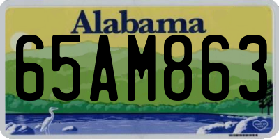 AL license plate 65AM863