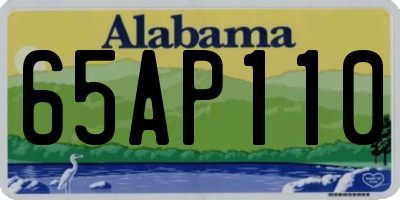 AL license plate 65AP110