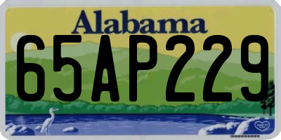 AL license plate 65AP229