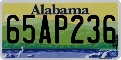 AL license plate 65AP236