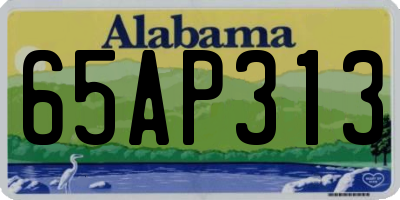 AL license plate 65AP313