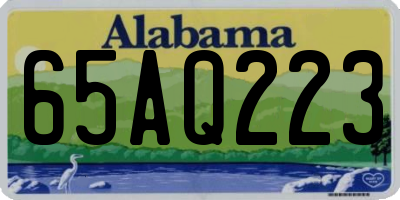AL license plate 65AQ223
