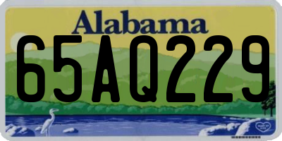 AL license plate 65AQ229