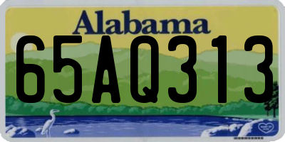 AL license plate 65AQ313