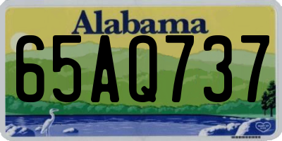 AL license plate 65AQ737
