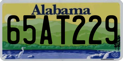AL license plate 65AT229