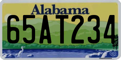 AL license plate 65AT234