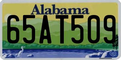 AL license plate 65AT509