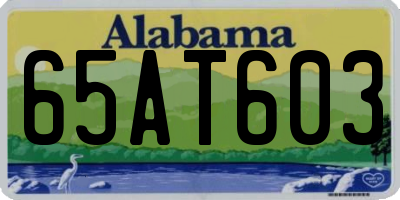 AL license plate 65AT603