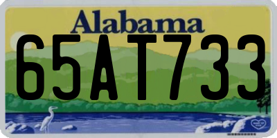 AL license plate 65AT733