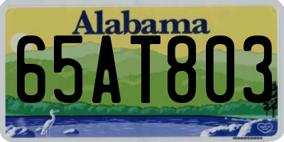 AL license plate 65AT803