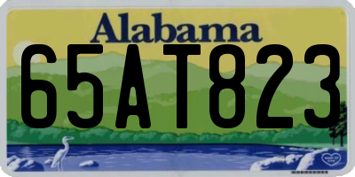 AL license plate 65AT823