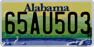 AL license plate 65AU503