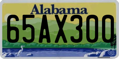 AL license plate 65AX300