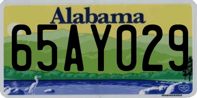 AL license plate 65AY029
