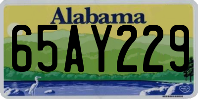 AL license plate 65AY229