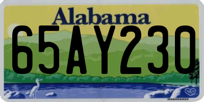 AL license plate 65AY230