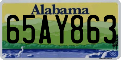 AL license plate 65AY863