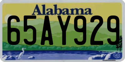 AL license plate 65AY929