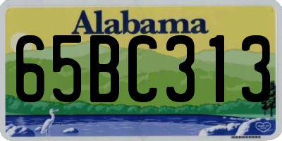 AL license plate 65BC313