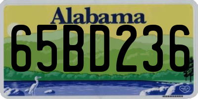 AL license plate 65BD236