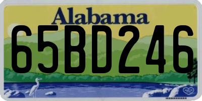 AL license plate 65BD246