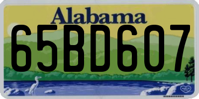 AL license plate 65BD607