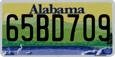 AL license plate 65BD709