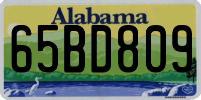 AL license plate 65BD809