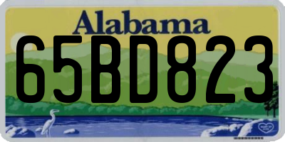 AL license plate 65BD823