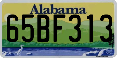 AL license plate 65BF313
