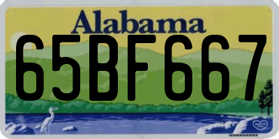 AL license plate 65BF667