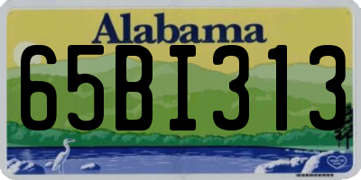 AL license plate 65BI313