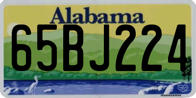 AL license plate 65BJ224