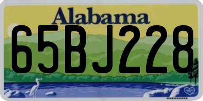 AL license plate 65BJ228