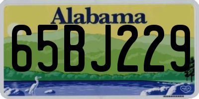 AL license plate 65BJ229