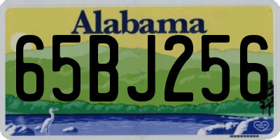 AL license plate 65BJ256