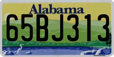 AL license plate 65BJ313