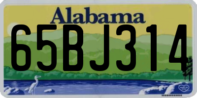 AL license plate 65BJ314