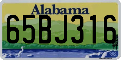AL license plate 65BJ316