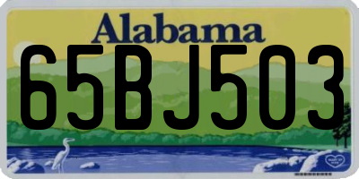 AL license plate 65BJ503